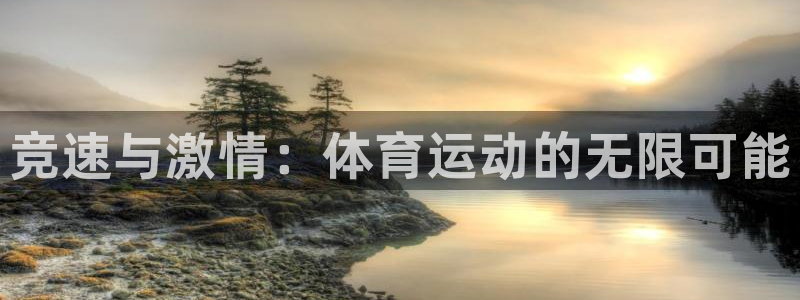 J9官网下载平台注册要钱吗:竞速与激情:体育运动的无限可能