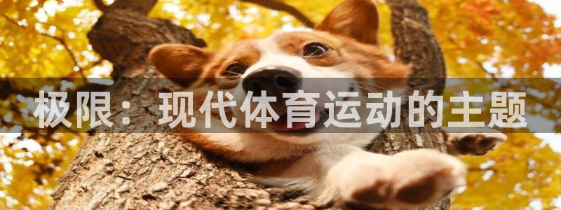 J9官网下载平台假的吗是真的吗吗:极限:现代体育运动的主题